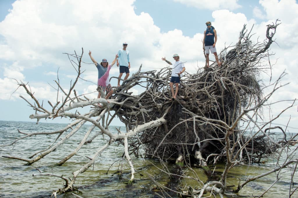 Taking photos on giant driftwood