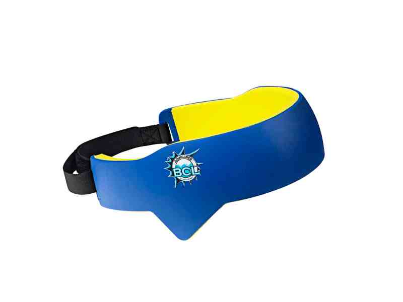 BCL Inc. BrainWave
