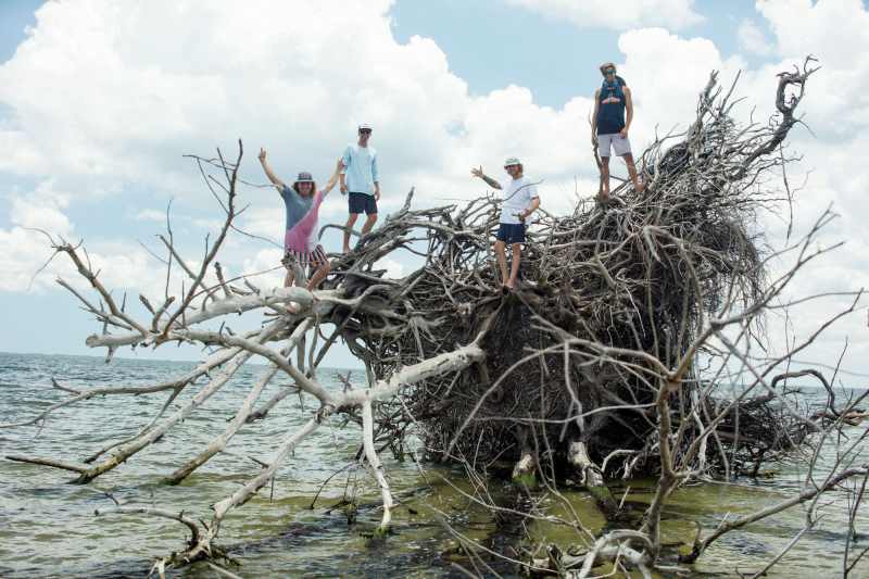 Taking photos on giant driftwood